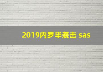 2019内罗毕袭击 sas